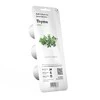 Click and Grow Smart Home 3 vnt. papildymas - čiobrelių sėklos