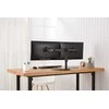 Assmann Electronic DIGITUS Dual Monitorius stovo laikiklis