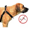 Dingo DGIO SZELKI EASY WALK 52-74cm Juodas