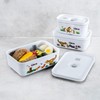 ZWILLING FRESH &amp; SAVE Priešpiečių dėžutė plastikowy dinos 0.5 ltr