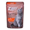 Kačių Maistas - Dolina Noteci Rafi Cat Adult Anties Skonio Be Grūdų 100g