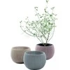 Rinkinys doniczek KETER Cozies Trio 230393 (151mm x 107mm x 151 mm; spalva violetinė)