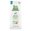 Brit Care GF Adult LB lašiša NEW 12 kg