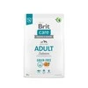 Brit Care GF Adult lašiša NEW 3kg