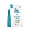 Brit Care GF Adult lašiša NEW 3kg