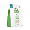 Brit Care GF Adult LB su lašiša ir bulvėmis 3kg