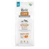 Brit Care GF Senior&Light lašiša 12 kg