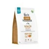 BRIT CARE GF Senior&amp;Light Salmons.m. šunims 3kg