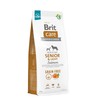 Brit Care GF Senior&Light lašiša 12 kg