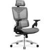 Ergonominė biuro kėdė Mark Adler Expert 8.5, Pilkos spalvos