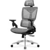 Ergonominė biuro kėdė Mark Adler Expert 8.5, Pilkos spalvos