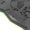 Esperanza EGC110 laptop cooling pad 43.2 cm (17") 800 RPM Juodas