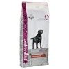 Eukanuba Adult Labrador sausas maistas Labradoro retriveriams 12kg
