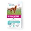 Eukanuba Daily Care Sensitive Digestion sausas Maistas šunims su vištiena, AB, 2,3kg