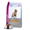 Eukanuba Adult Golden Retriever sausas maistas auksaplaukiams retriveriams 12kg