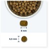 EUKANUBA Hairball Control vištiena - sausas kačių maistas - 10kg