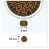 EUKANUBA Kitten sausas kačių maistas - 10kg
