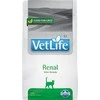 Sausas Kačių Maistas - Farmina Vet Life CAT Renal, 400g
