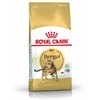 Royal Canin Bengal 10kg