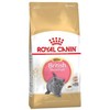 Royal Canin britų trumpaplaukis kačiukas 2kg