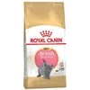 Royal Canin britų trumpaplaukis kačiukas 2kg
