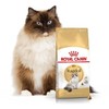 Royal Canin Ragdoll 400g