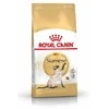 Royal Canin Siamo suaugusiems 2kg