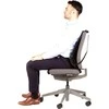 Nugaros atrama Fellowes Professional Series Mesh Back Support