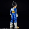 Bandai FIGURE RISE STANDARD DBZ VEGETA (NEW SPEC Ver.)