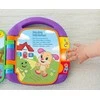 Mattel Knyga su eilėraščiais (FRC70)