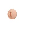Masturbatorius Fleshlight 0810476014490 Eva Lovia