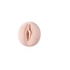 Masturbatorius Fleshlight Jenna Haze Obsession
