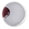 Flexi LED apšvietimas System žibintuvėlis prie pavadėlio, šviesiai pilkos spalvos