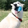 Doggy Village Frantic ORB Judantis, interaktyvus kamuolys su spalvingu apšvietimu šunims