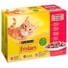 Purina Nestle Kačių Maistas - Friskies Mėsos Mišinio Drėgnas Kačių Maistas 12 x 85 g