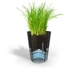 Vazonas - GEFU BOTANICO Laisvai Stovintis Plastikinis, Nerūdijančio Plieno, 0.5L Vandens Bakas, Juodas