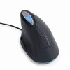 GEMBIRD MUS-ERGO-03 Ergonomic 6-button optinė pelė spacegrey