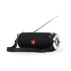 GEMBIRD SPK-BT-17 Nešiojamas Bluetooth garsiakalbis su antena juodas