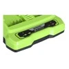 Kroviklis Greenworks G24X2UC2; 24 V