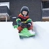 Hamax Sno Zebra Snow Racer Žalias Polietilenas