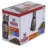 Hill's Cat Science Plan Feline Adult Multipack vištiena/Ocean žuvis/jautiena guliašas katėms 12x85g