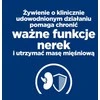 Sausas Kačių Maistas - Hill's Pd K/D Inkstų + Judrumo Vištiena 3 Kg