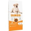 IAMS for Vitality Adult Large Breed - sausas šunų maistas - 12 kg