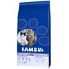 Iams Adult Cat Multicat 15 kg su lašiša ir vištiena 15kg
