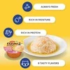 Kačių Skanėstai - Inaba Dashi Delights Vištienos ir Tuno Sultinys 70g