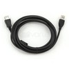 Gembird Cablexpert | USB 2.0 A M/FM | USB-A į USB-A USB A | USB A