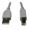 GEMBIRD CCP-USB2-AMBM-6G USB 2.0 A-B 1.8m kabelis, pilkos spalvos