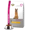 Eukanuba Adult German Shepherd sausas maistas vokiečių aviganiams 12kg