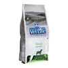 FARMINA VET LIFE - DOG Dry RENAL 2kg
