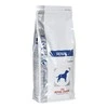 Royal Canin VD Dog Renal 2kg
